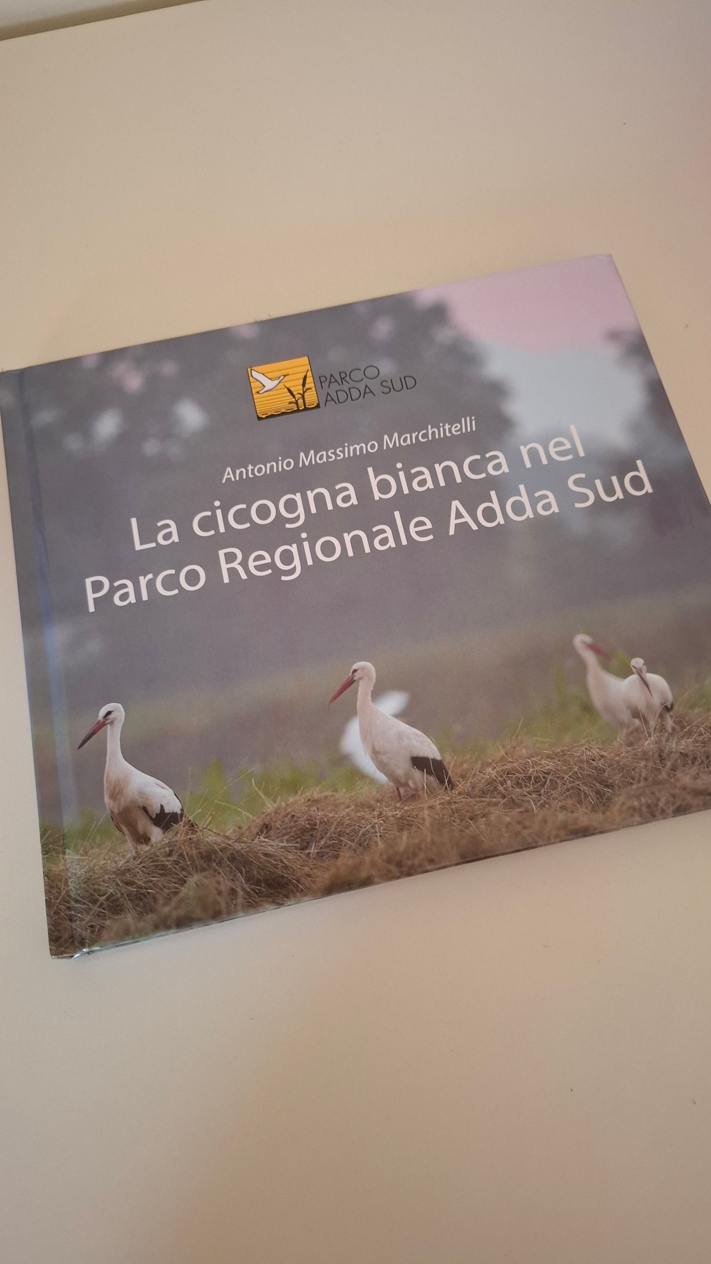 La cicogna bianca nel Parco Regionale Adda Sud