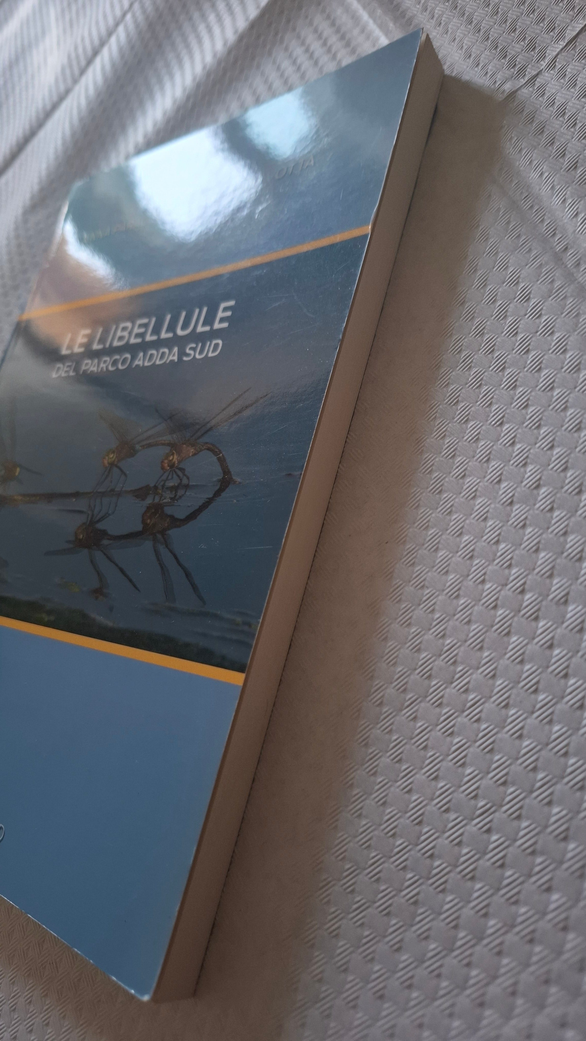 Le libellule del parco Adda sud