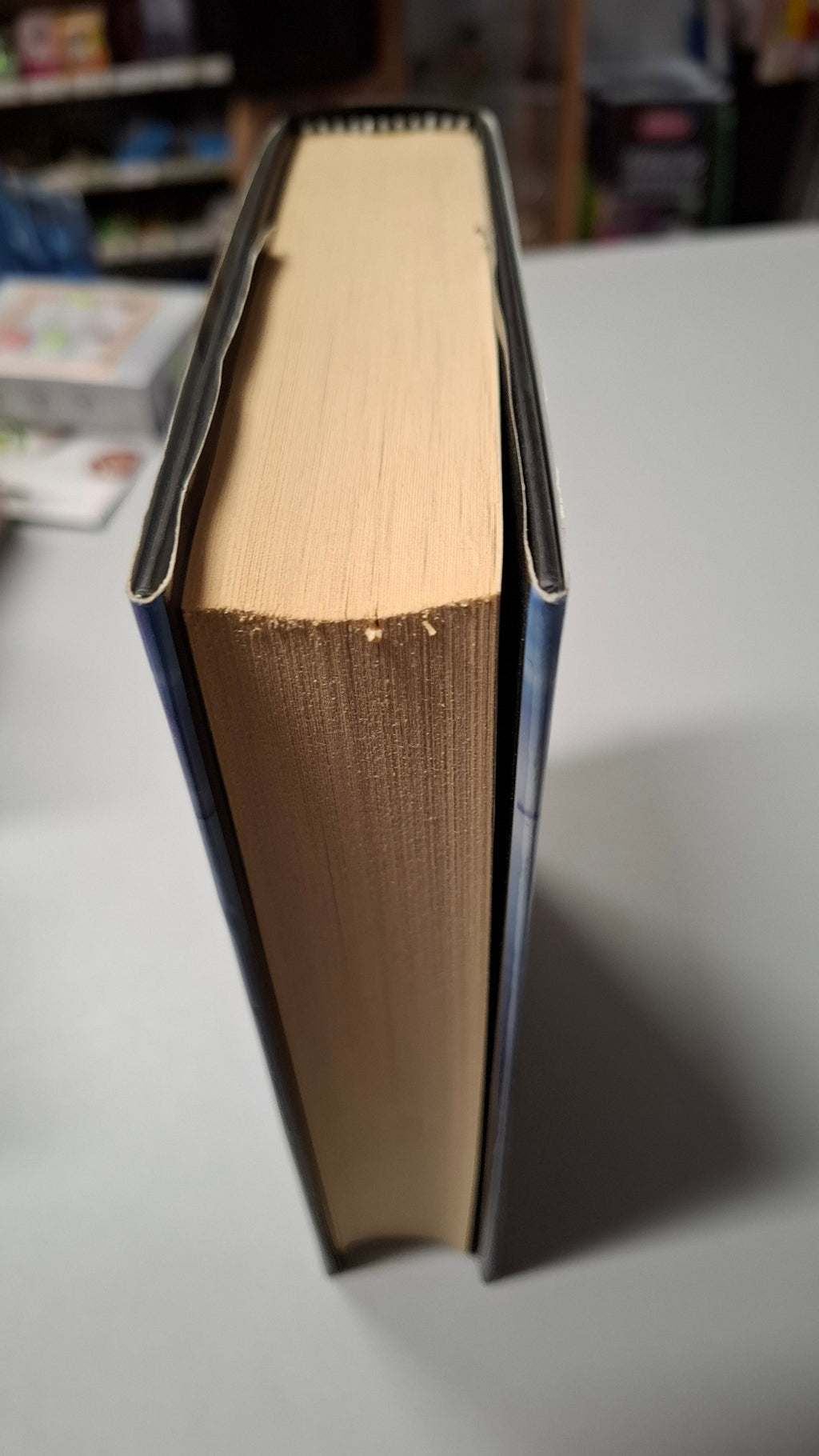 La ricamatrice di segreti - Kate Alcott