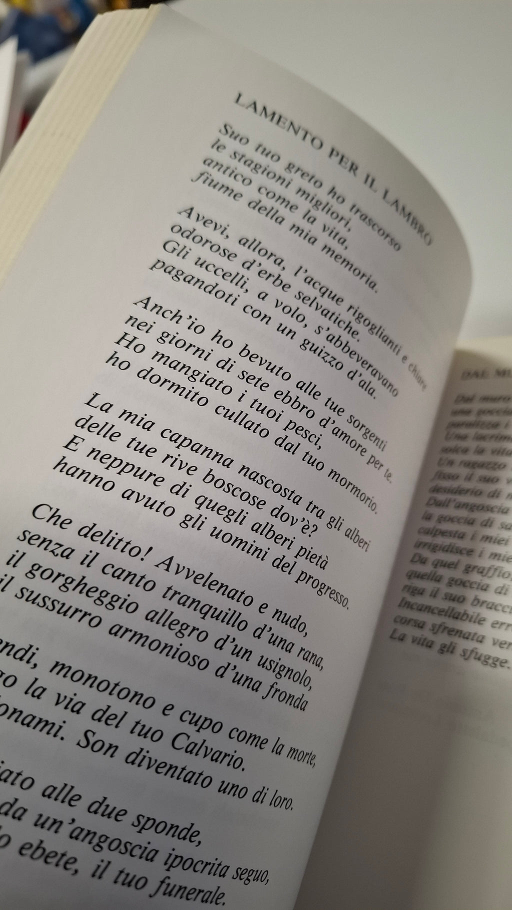 Alla scoperta dei poeti lodigiani 1990