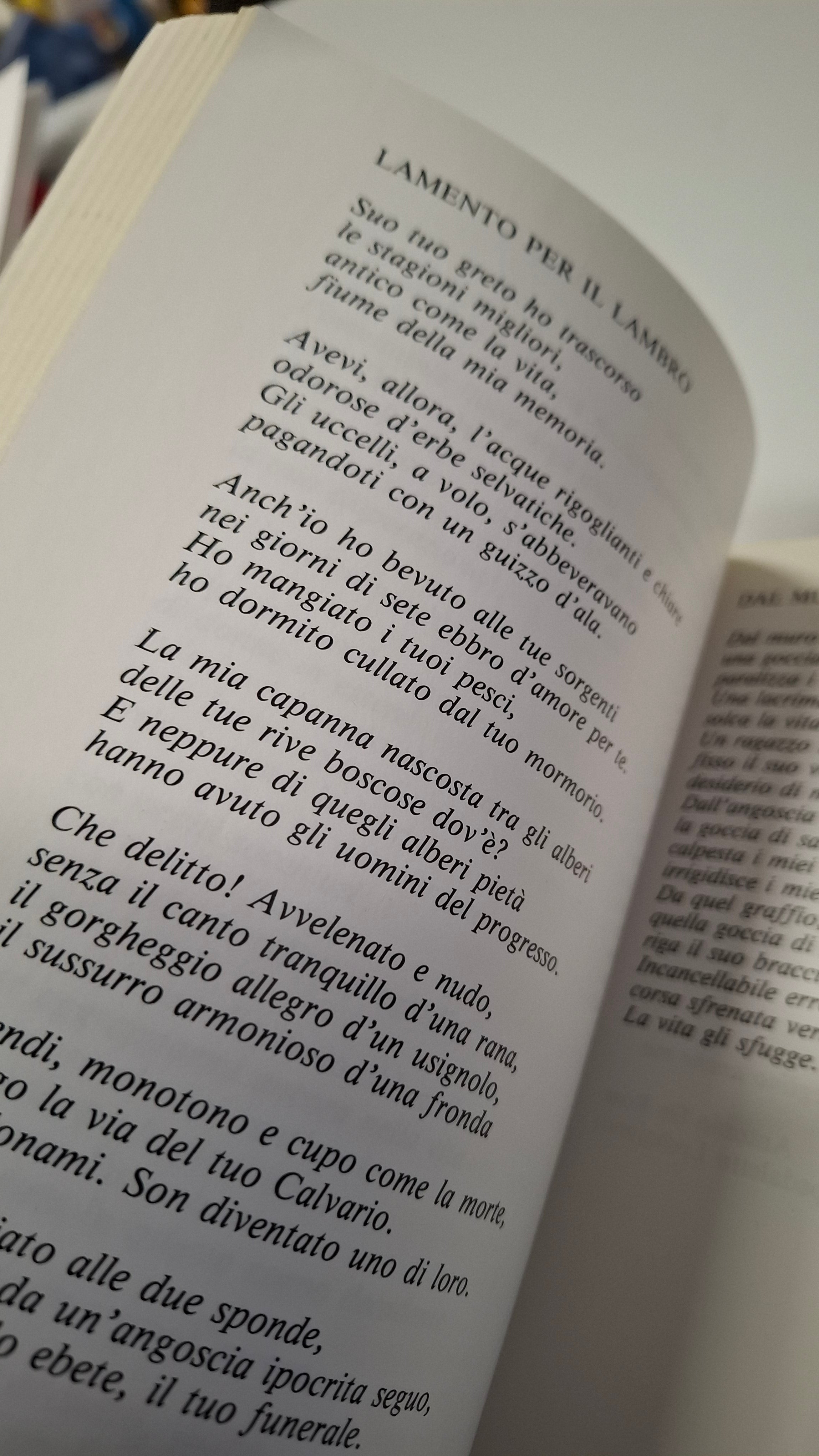 Alla scoperta dei poeti lodigiani 1990