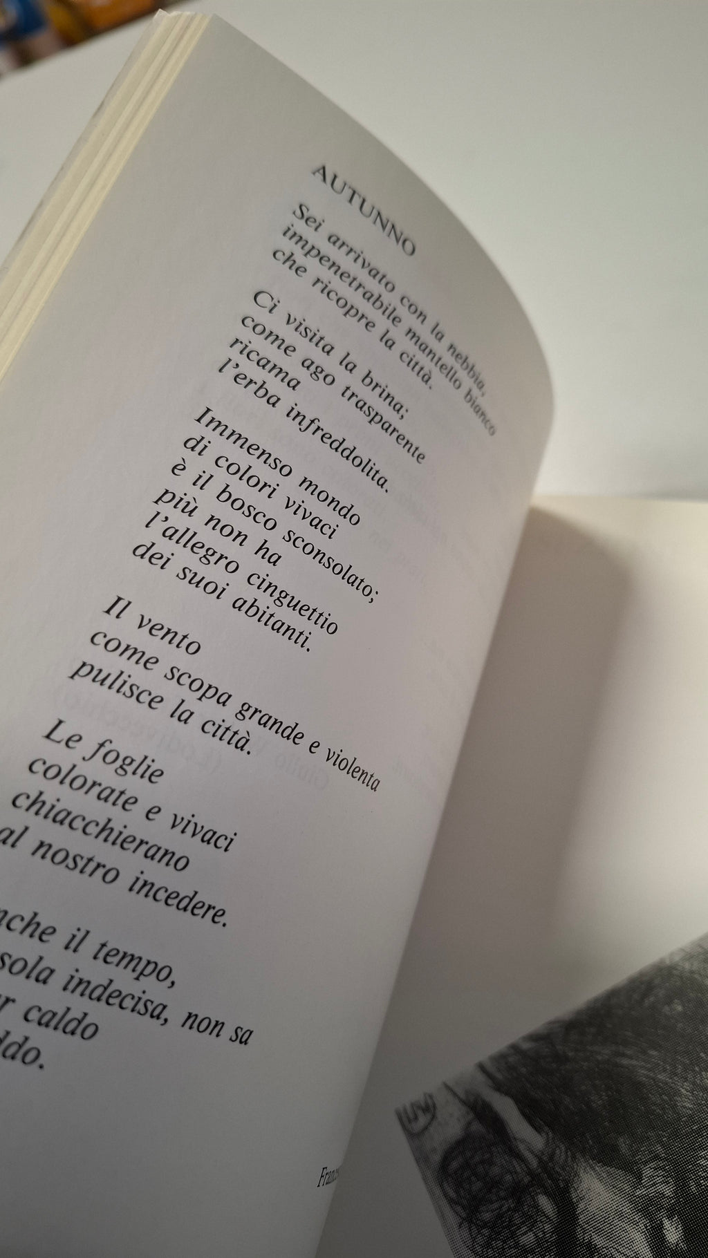 Alla scoperta dei poeti lodigiani 1990