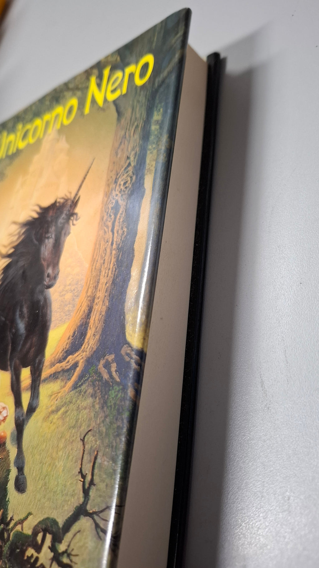L'unicorno nero di Terry Brooks