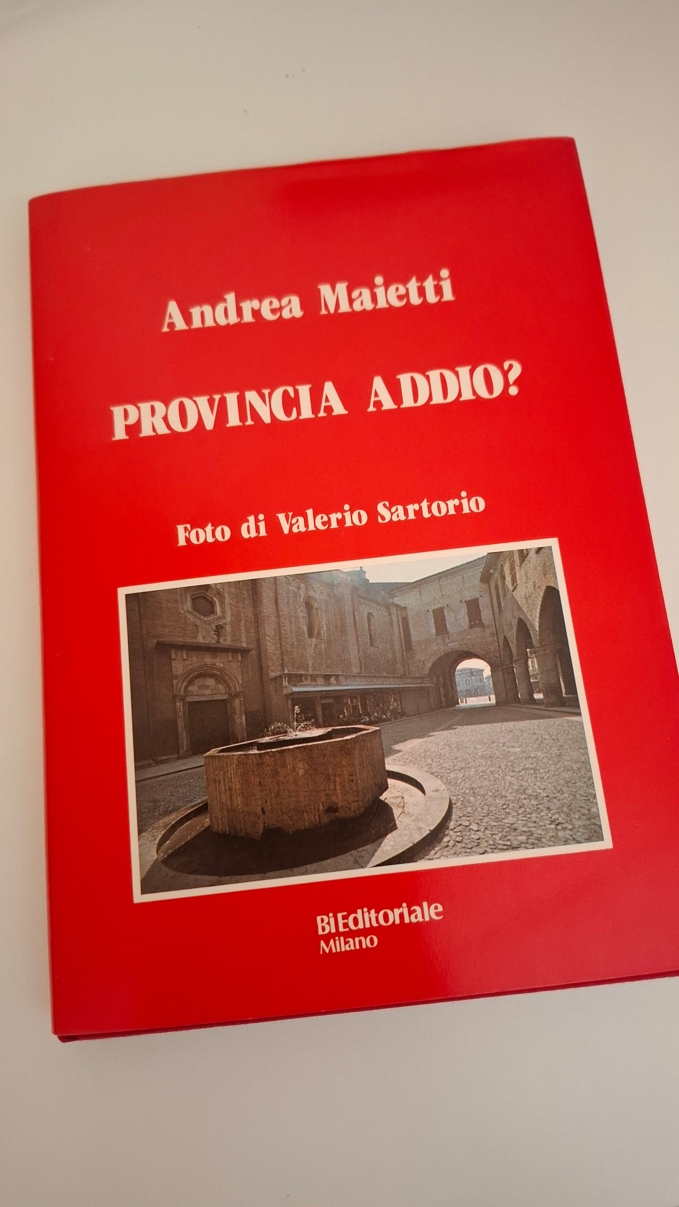 Provincia addio? di Andrea Maietti