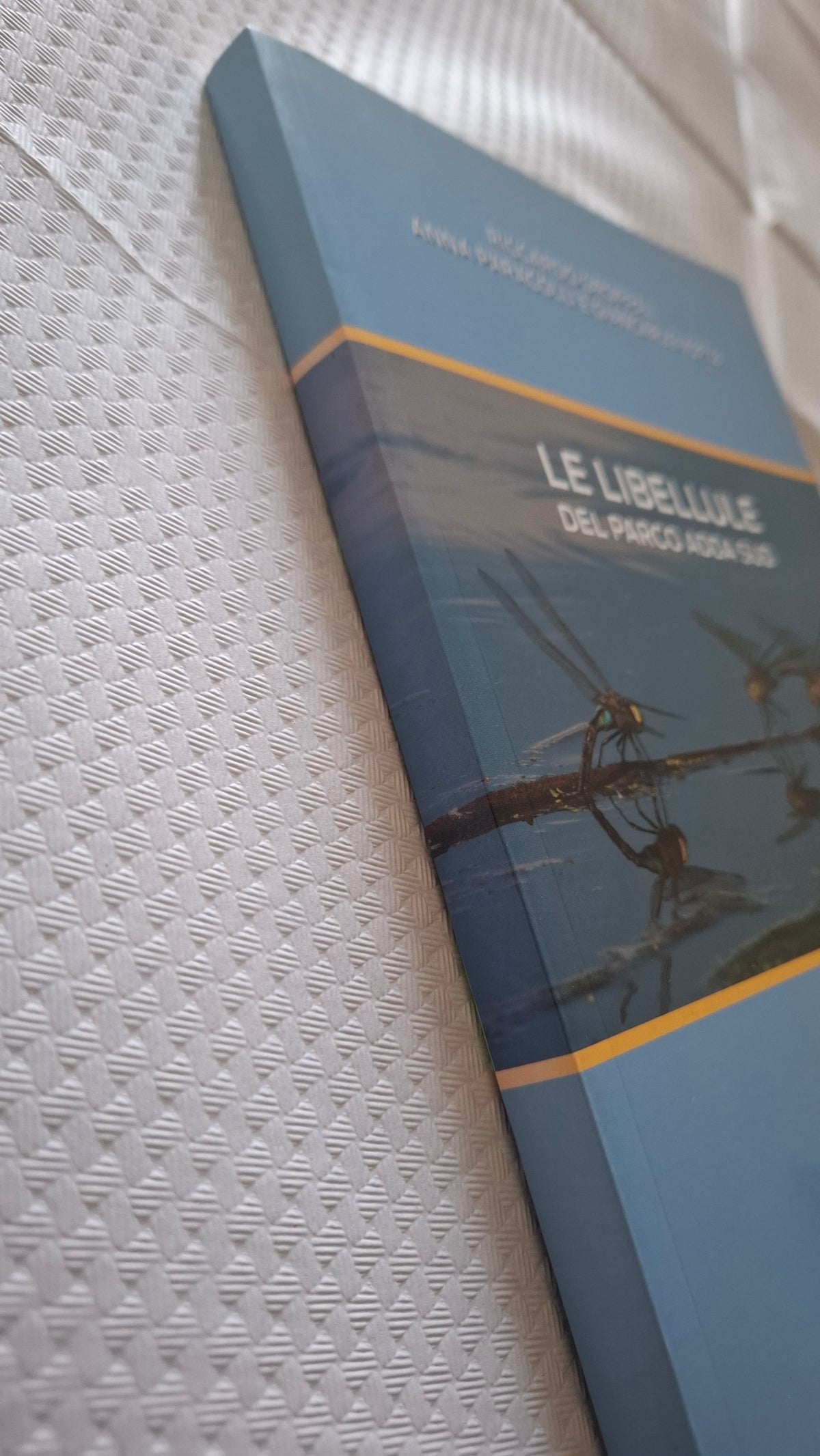 Le libellule del parco Adda sud