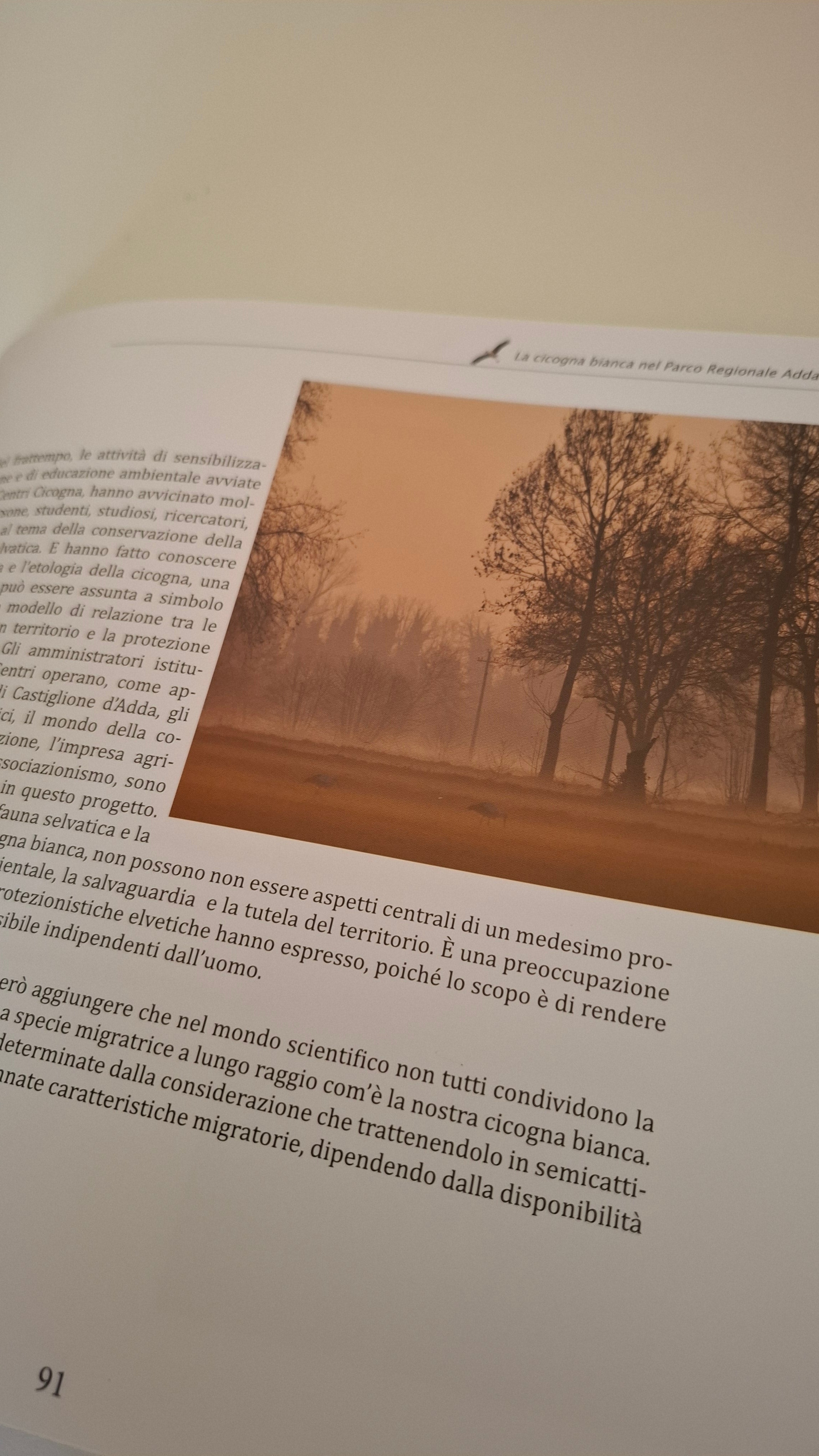 La cicogna bianca nel Parco Regionale Adda Sud