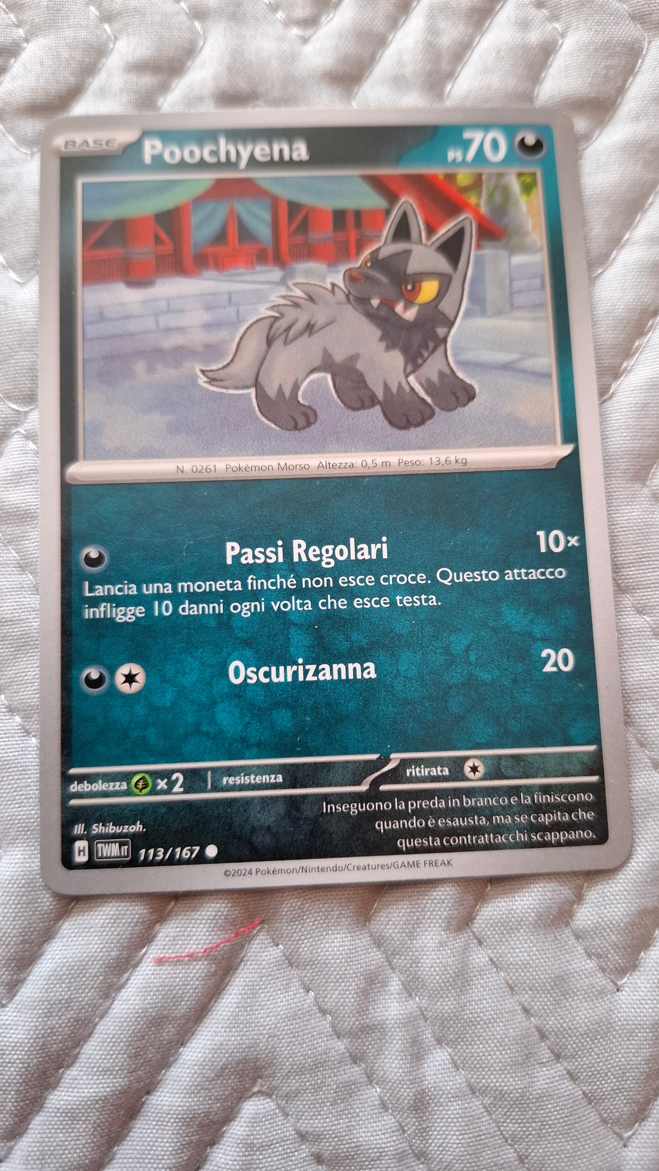 Poochyena 70